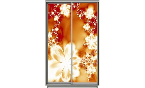 Dulap Print 2 Usi 2924 L100 x H220 x A60