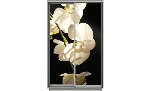 Dulap Print 2 Usi 1254, L100 x H220 x A60