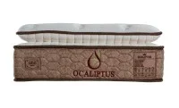 Saltea Ocaliptus, 180x200x34cm