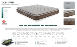 Saltea Ocaliptus, 90x200x34cm