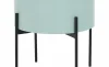 Menta